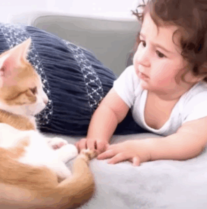 Baby melts hearts with adorable ‘response’ to meeting his eight cat siblings